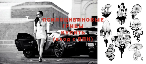 PSILOCYBIN Приозерск