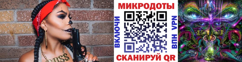 даркнет сайт Заполярный Псилоцибиновые грибы мицелий