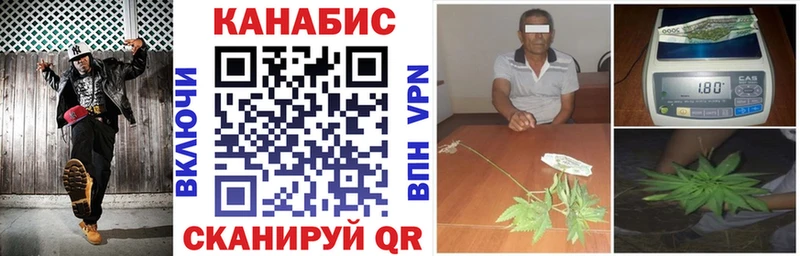 Шишки марихуана сатива  даркнет сайт  Заполярный 